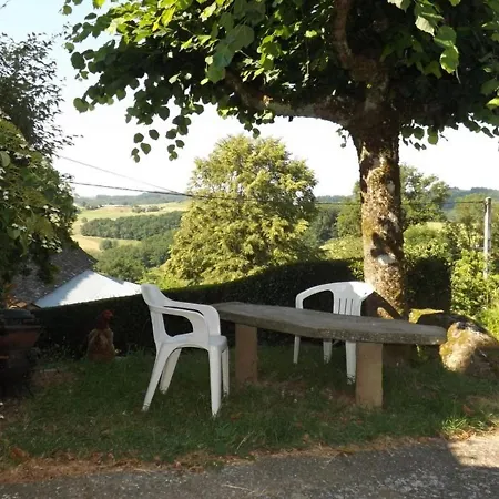 Charmante Avec Terrasse, Cheminee Et Jardin, Animaux Acceptes, Pres Des Monts Du Cantal. - Fr-1-742-33 * Ladinhac