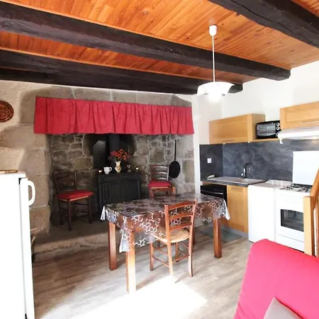 Tatil Evi Charmante Avec Terrasse, Cheminee Et Jardin, Animaux Acceptes, Pres Des Monts Du Cantal. - Fr-1-742-33