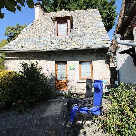 Tatil Evi Charmante Avec Terrasse, Cheminee Et Jardin, Animaux Acceptes, Pres Des Monts Du Cantal. - Fr-1-742-33 *